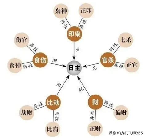 八字學習|八字學習的九個基本步驟